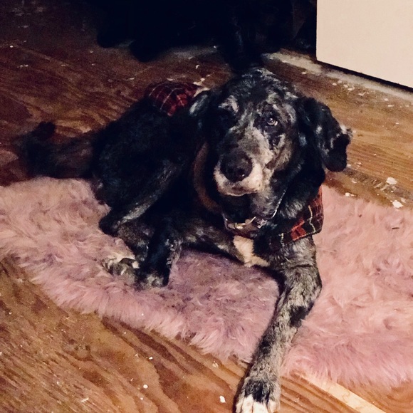 Meet your Posher, Michele - Picture 1 of 1